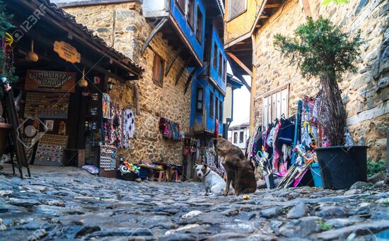 Bursa Cumalıkızık Saitabat Şelalesi Turu / Günübirlik / İstanbul Kalkışlı